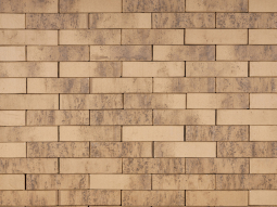 Кирпич лицевой клинкерный Сибирский Архитекторъ «Барнаулъ» пустотелый одинарный