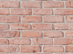 Кирпич лицевой керамический «Петровский Штандарт» «Бело-красный» пустотелый WDF